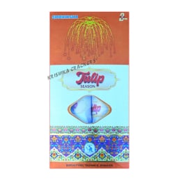 4" Fancy (2 Pcs)